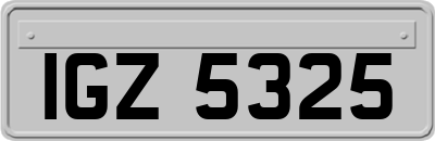 IGZ5325