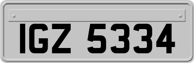 IGZ5334