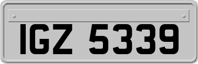 IGZ5339