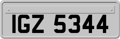 IGZ5344