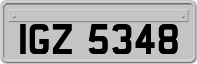 IGZ5348