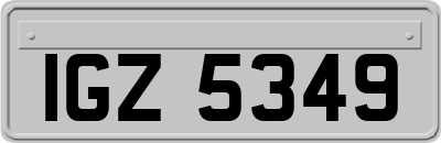 IGZ5349