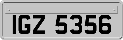 IGZ5356
