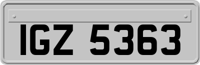 IGZ5363