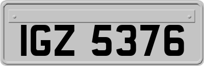 IGZ5376