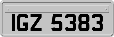 IGZ5383