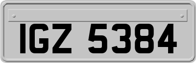 IGZ5384