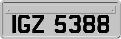 IGZ5388