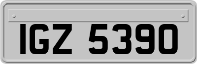 IGZ5390