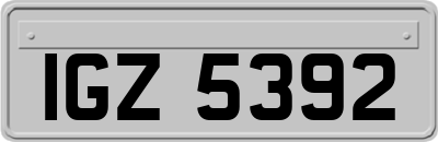 IGZ5392