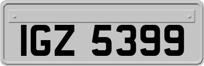 IGZ5399
