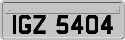 IGZ5404