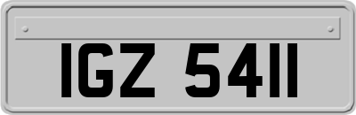 IGZ5411
