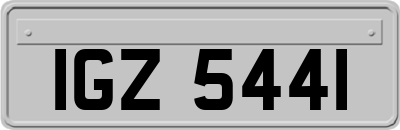 IGZ5441