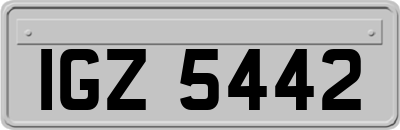 IGZ5442