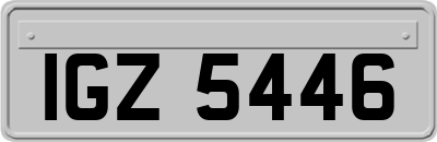 IGZ5446
