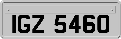IGZ5460