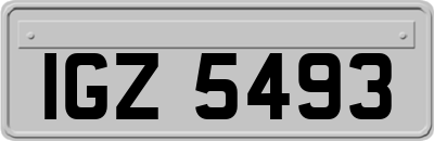 IGZ5493