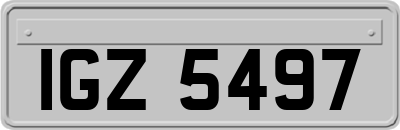 IGZ5497