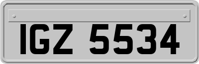 IGZ5534
