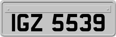 IGZ5539