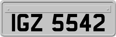 IGZ5542