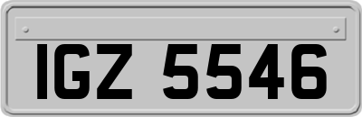 IGZ5546