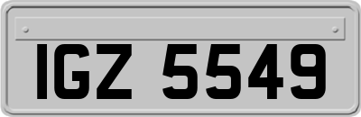 IGZ5549
