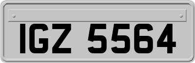 IGZ5564