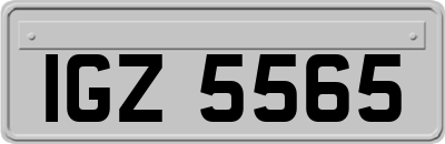 IGZ5565