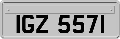 IGZ5571
