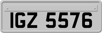 IGZ5576