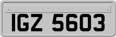 IGZ5603