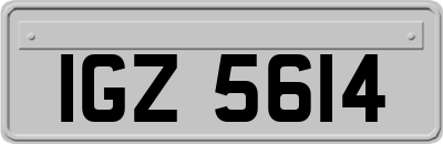 IGZ5614