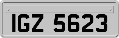 IGZ5623