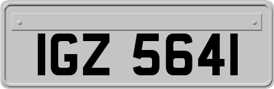 IGZ5641