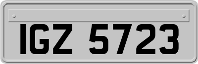 IGZ5723