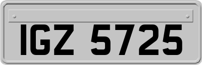 IGZ5725