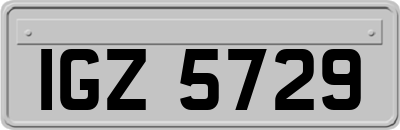IGZ5729