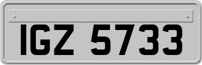 IGZ5733