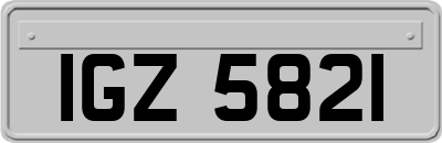IGZ5821