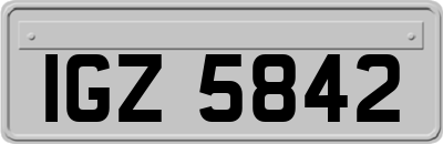 IGZ5842