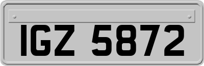 IGZ5872