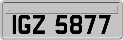 IGZ5877