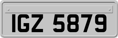 IGZ5879