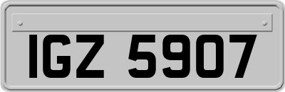 IGZ5907
