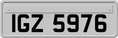 IGZ5976