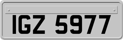 IGZ5977