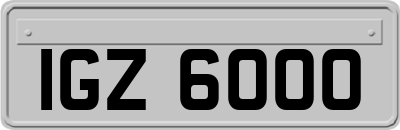 IGZ6000