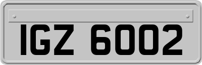 IGZ6002